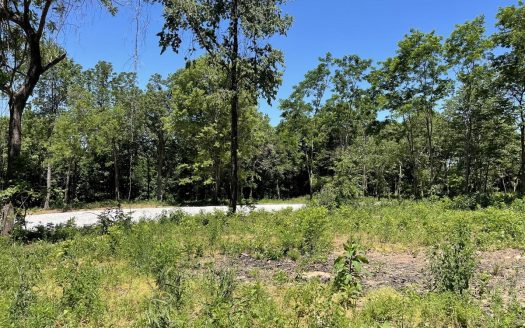 photo for a land for sale property for 03045-42030-Harrison-Arkansas
