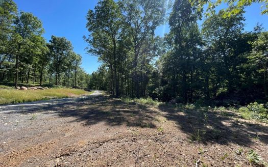 photo for a land for sale property for 03045-42470-Harrison-Arkansas