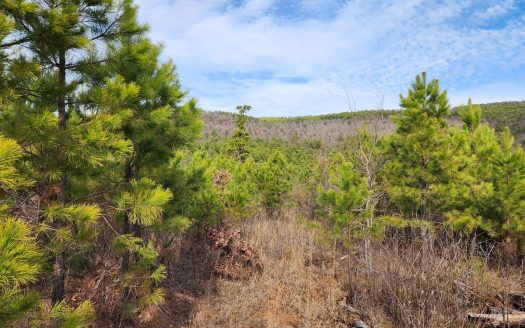 photo for a land for sale property for 35018-89590-Heavener-Oklahoma