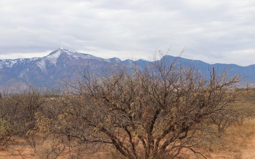 photo for a land for sale property for 02034-01654-Hereford-Arizona