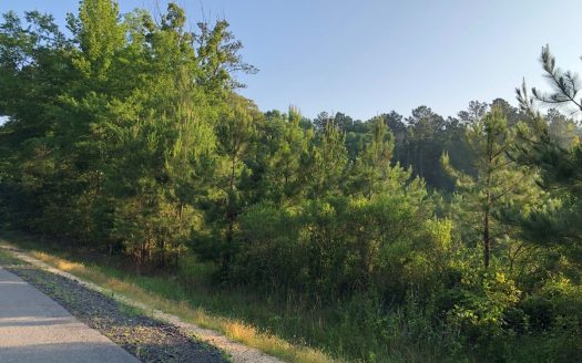 photo for a land for sale property for 03019-03792-Hermitage-Arkansas