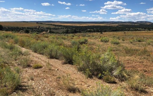 photo for a land for sale property for 05099-07470-Hesperus-Colorado