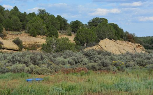 photo for a land for sale property for 05099-79814-Hesperus-Colorado