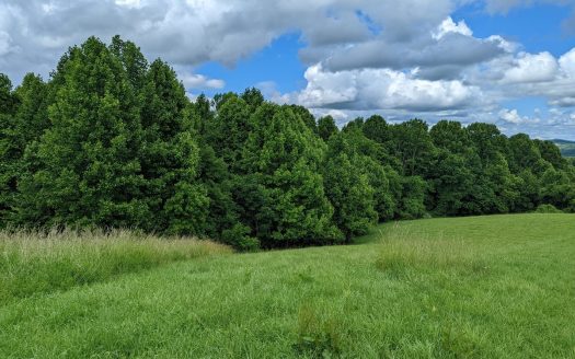 photo for a land for sale property for 45038-99709-Hillsville-Virginia