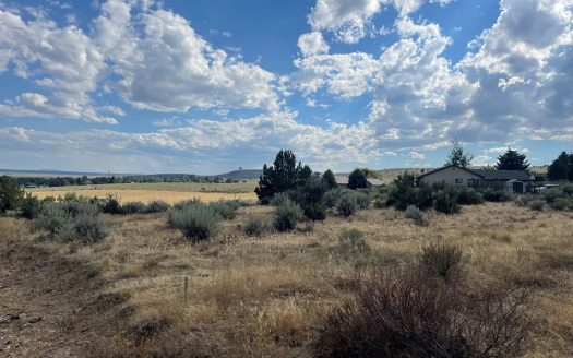 photo for a land for sale property for 36102-00356-Hines-Oregon