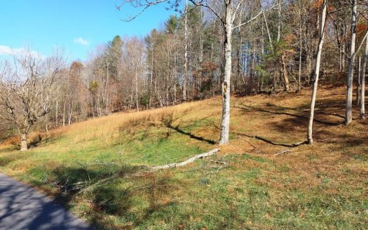 photo for a land for sale property for 45060-91750-Hiwassee-Virginia