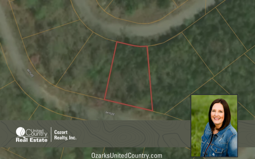 photo for a land for sale property for 24078-88370-Hollister-Missouri