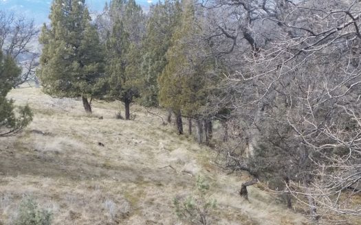 photo for a land for sale property for 04064-19697-Hornbrook-California