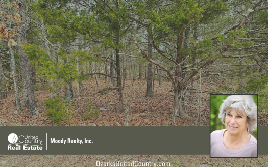 photo for a land for sale property for 03075-41450-Horseshoe Bend-Arkansas