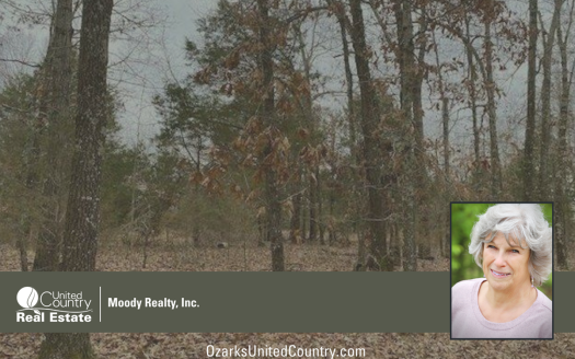 photo for a land for sale property for 03075-41471-Horseshoe Bend-Arkansas
