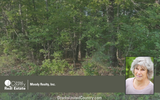 photo for a land for sale property for 03075-41685-Horseshoe Bend-Arkansas