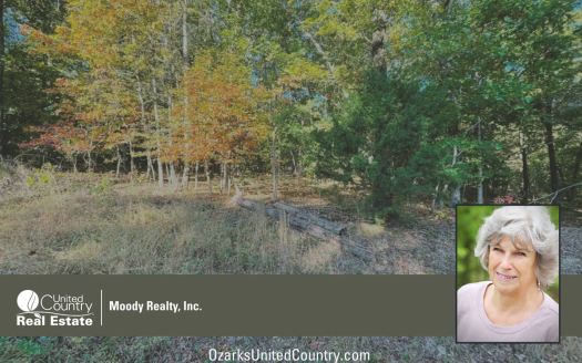 photo for a land for sale property for 03075-41752-Horseshoe Bend-Arkansas