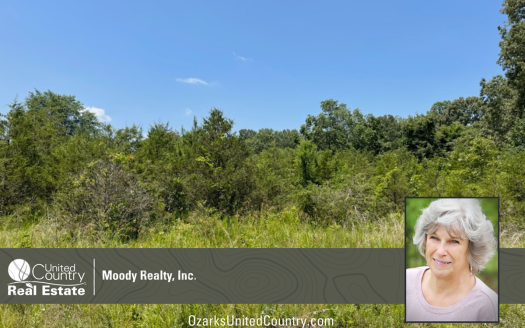 photo for a land for sale property for 03075-41859-Horseshoe Bend-Arkansas