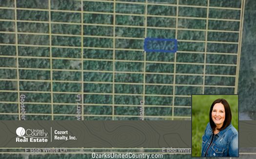photo for a land for sale property for 24078-89640-Horseshoe Bend-Arkansas