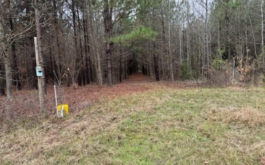 photo for a land for sale property for 42251-09003-Hughes Springs-Texas