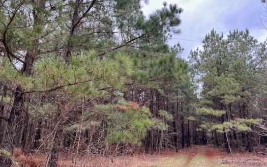photo for a land for sale property for 42251-09004-Hughes Springs-Texas