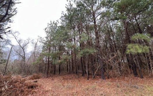photo for a land for sale property for 42251-09005-Hughes Springs-Texas