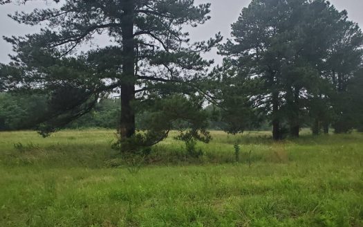 photo for a land for sale property for 35115-82876-Hugo-Oklahoma
