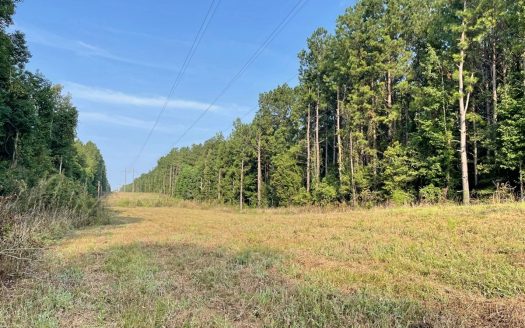 photo for a land for sale property for 23042-30020-Huttig-Arkansas