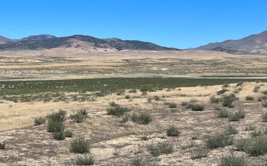 photo for a land for sale property for 27015-13004-Imlay-Nevada