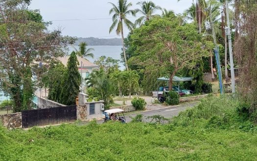 photo for a land for sale property for 60003-21084-Isla Contadora-Panama