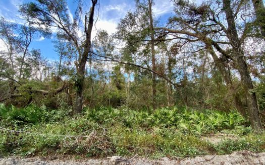photo for a land for sale property for 09180-20977-Jasper-Florida