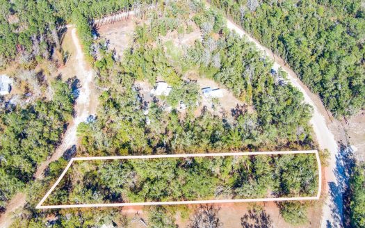 photo for a land for sale property for 09090-21961-Jennings-Florida