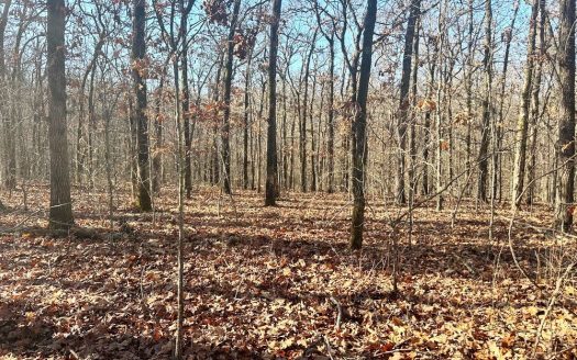 photo for a land for sale property for 24133-24007-Jerico Springs-Missouri