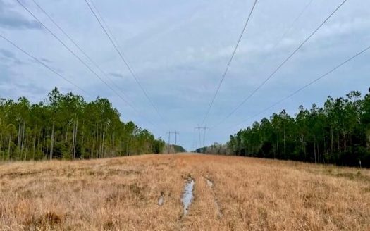 photo for a land for sale property for 23042-24610-Kiln-Mississippi
