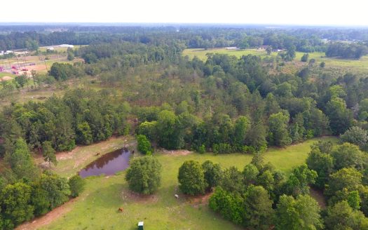 photo for a land for sale property for 42270-10091-Kountze-Texas