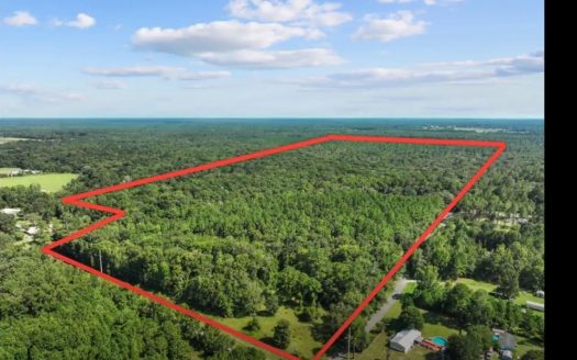 photo for a land for sale property for 09090-20748-Lake Butler-Florida
