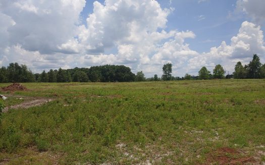 photo for a land for sale property for 09090-15851-Lake City-Florida