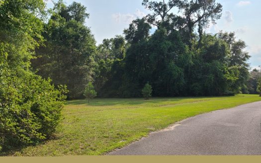 photo for a land for sale property for 09029-11590-Lake City-Florida
