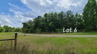 photo for a land for sale property for 09029-15903-Lake City-Florida