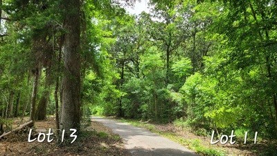 photo for a land for sale property for 09029-15912-Lake City-Florida