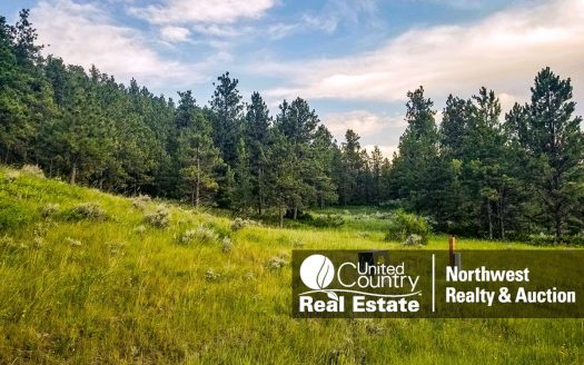 photo for a land for sale property for 25008-04783-Landusky-Montana