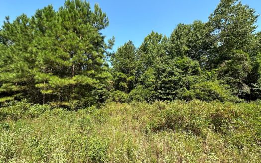 photo for a land for sale property for 42145-11055-Laneville-Texas