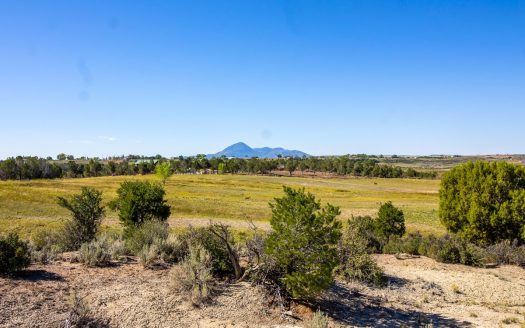 photo for a land for sale property for 05099-76508-Lewis-Colorado