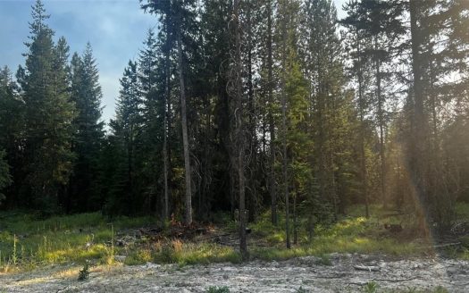 photo for a land for sale property for 25068-11740-Libby-Montana
