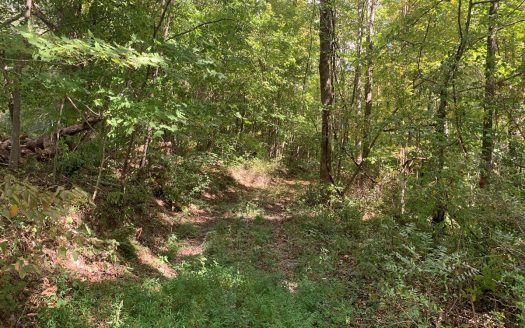 photo for a land for sale property for 16017-60480-Liberty-Kentucky