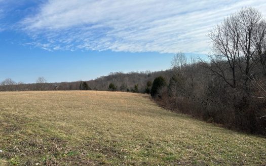 photo for a land for sale property for 16017-60700-Liberty-Kentucky