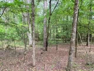 photo for a land for sale property for 09090-19236-Live Oak-Florida