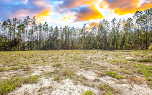 photo for a land for sale property for 09090-21204-Live Oak-Florida