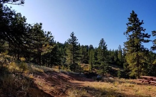 photo for a land for sale property for 05079-11193-Livermore-Colorado