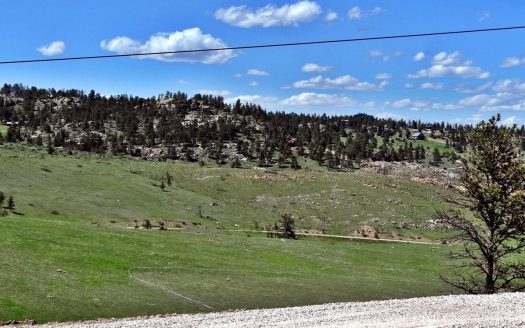 photo for a land for sale property for 05079-11360-Livermore-Colorado