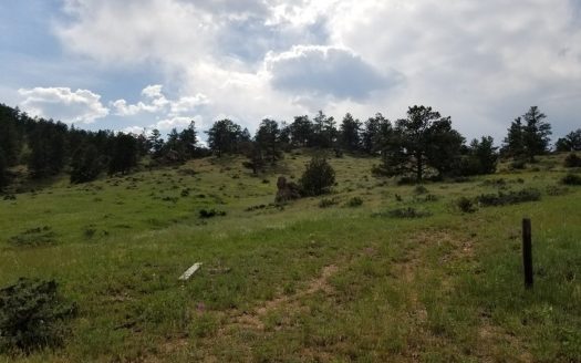 photo for a land for sale property for 05079-11373-Livermore-Colorado