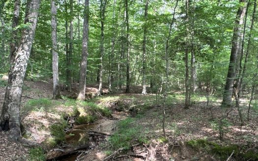 photo for a land for sale property for 03019-03843-Louann-Arkansas