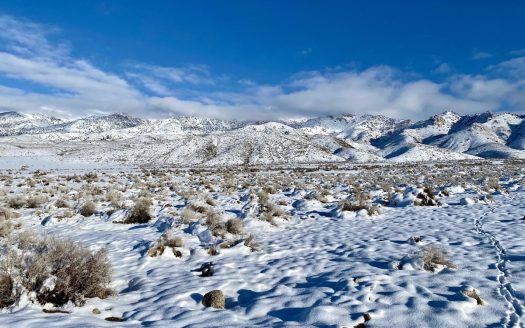 photo for a land for sale property for 27014-16955-Lovelock-Nevada