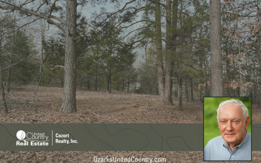 photo for a land for sale property for 24078-86340-Mammoth Spring-Arkansas