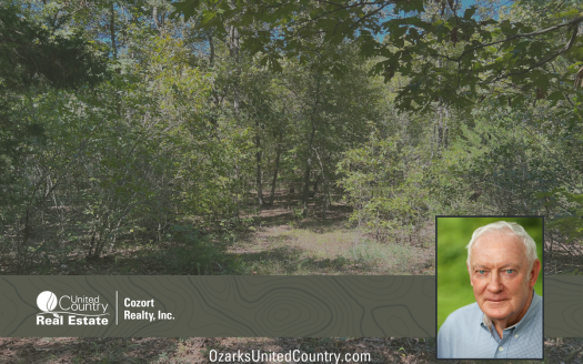 photo for a land for sale property for 24078-88620-Mammoth Spring-Arkansas